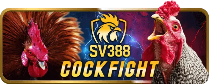 Chiến lược chơi Blackjack tại Win55 99