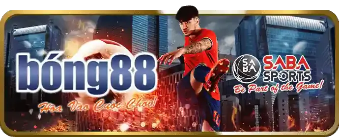 Hướng dẫn cá cược thể thao Win55 99